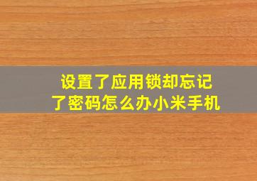 设置了应用锁却忘记了密码怎么办小米手机