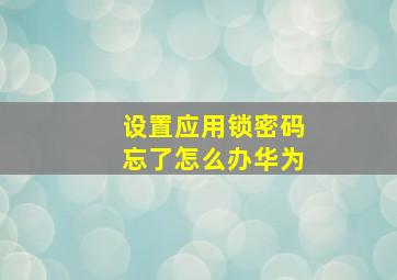 设置应用锁密码忘了怎么办华为