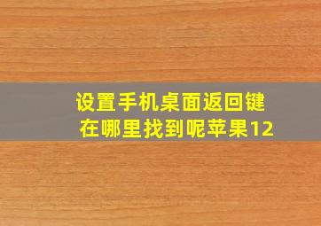 设置手机桌面返回键在哪里找到呢苹果12