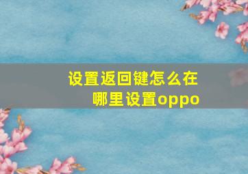 设置返回键怎么在哪里设置oppo