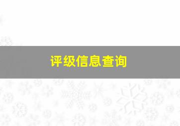 评级信息查询