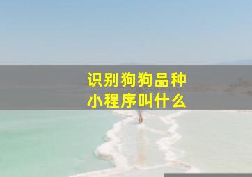 识别狗狗品种小程序叫什么