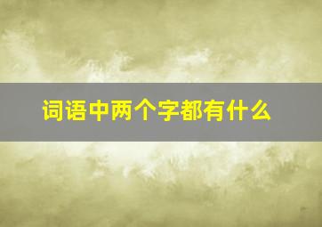 词语中两个字都有什么