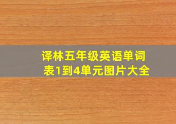 译林五年级英语单词表1到4单元图片大全