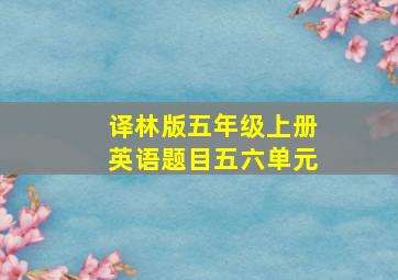 译林版五年级上册英语题目五六单元