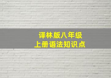 译林版八年级上册语法知识点