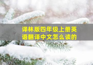 译林版四年级上册英语翻译中文怎么读的