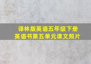 译林版英语五年级下册英语书第五单元课文照片