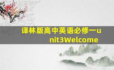 译林版高中英语必修一unit3Welcome