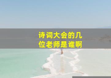 诗词大会的几位老师是谁啊