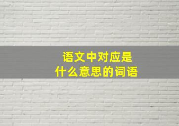 语文中对应是什么意思的词语