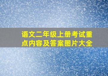 语文二年级上册考试重点内容及答案图片大全