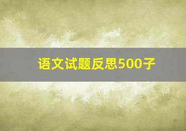 语文试题反思500子