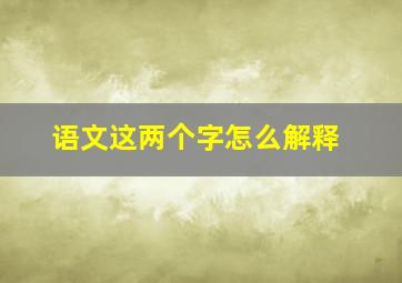 语文这两个字怎么解释