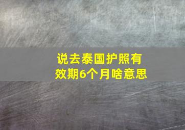 说去泰国护照有效期6个月啥意思