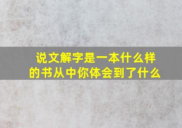 说文解字是一本什么样的书从中你体会到了什么