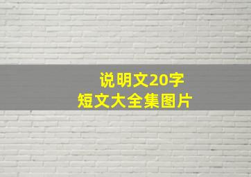 说明文20字短文大全集图片