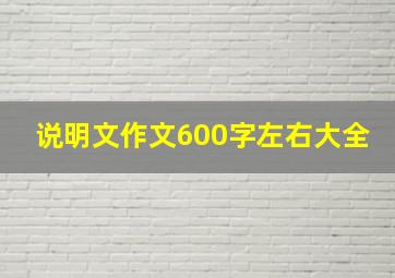 说明文作文600字左右大全