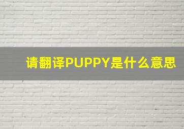 请翻译PUPPY是什么意思