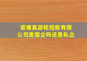 诺唯真游轮控股有限公司是国企吗还是私企