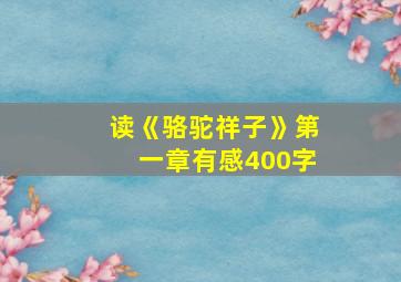 读《骆驼祥子》第一章有感400字