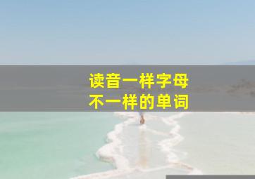 读音一样字母不一样的单词