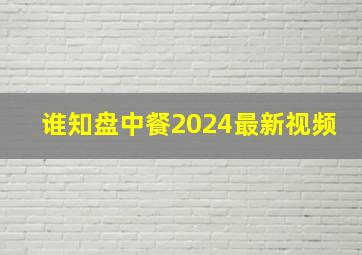 谁知盘中餐2024最新视频