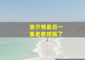 谢尔顿最后一集老教授疯了