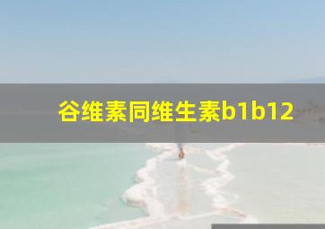 谷维素同维生素b1b12