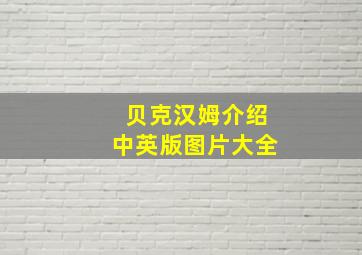 贝克汉姆介绍中英版图片大全