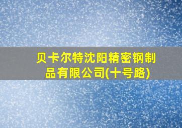 贝卡尔特沈阳精密钢制品有限公司(十号路)