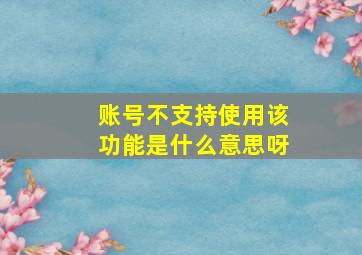 账号不支持使用该功能是什么意思呀