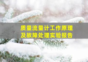 质量流量计工作原理及故障处理实验报告