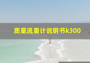 质量流量计说明书k300