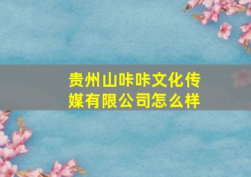 贵州山咔咔文化传媒有限公司怎么样