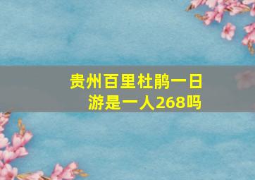 贵州百里杜鹃一日游是一人268吗