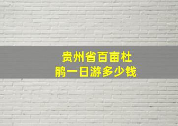 贵州省百亩杜鹃一日游多少钱