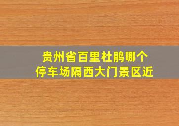 贵州省百里杜鹃哪个停车场隔西大门景区近