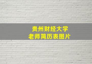 贵州财经大学老师简历表图片