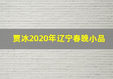 贾冰2020年辽宁春晚小品