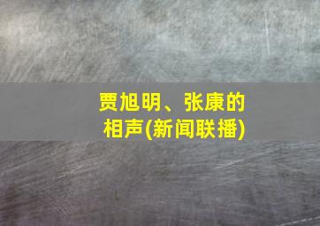 贾旭明、张康的相声(新闻联播)