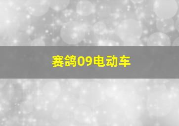 赛鸽09电动车