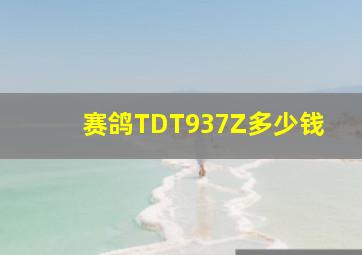 赛鸽TDT937Z多少钱