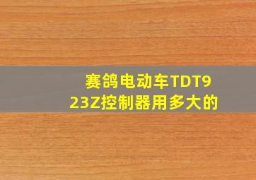 赛鸽电动车TDT923Z控制器用多大的