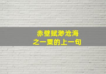 赤壁赋渺沧海之一粟的上一句