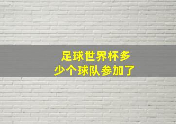 足球世界杯多少个球队参加了