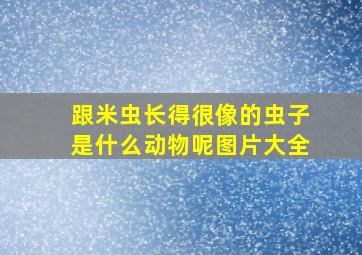 跟米虫长得很像的虫子是什么动物呢图片大全