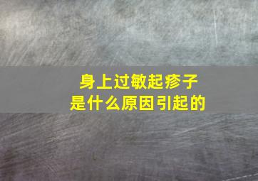 身上过敏起疹子是什么原因引起的