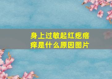 身上过敏起红疙瘩痒是什么原因图片