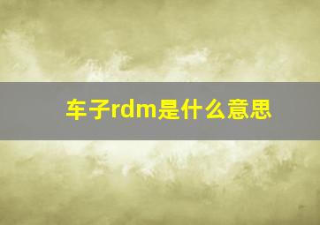 车子rdm是什么意思